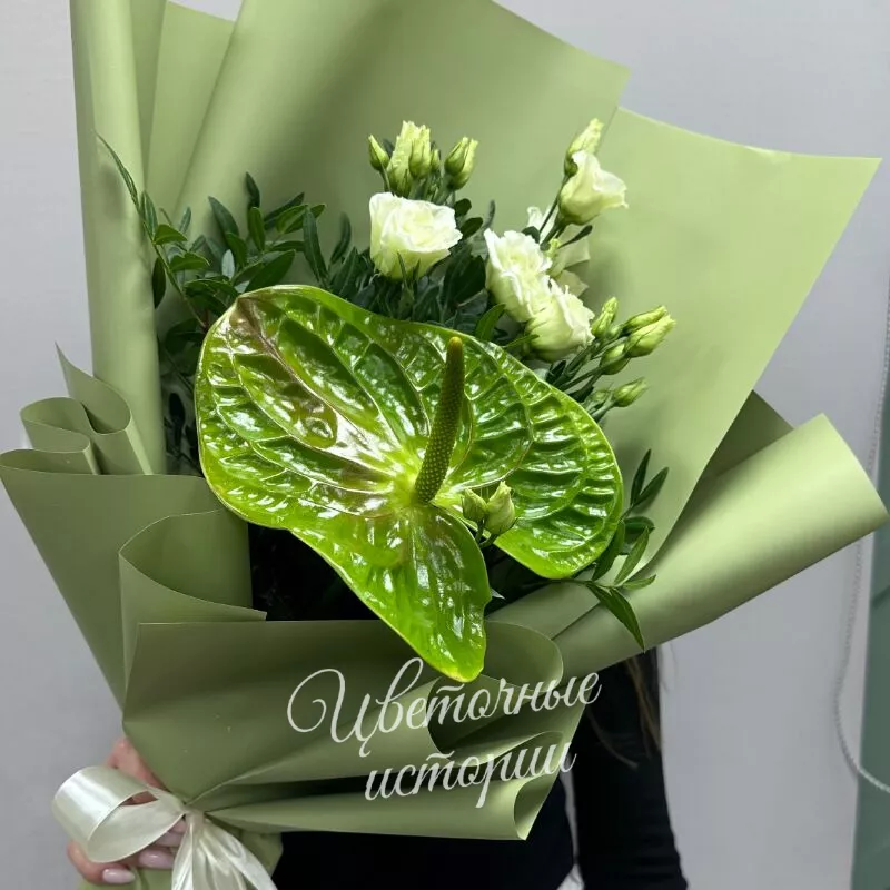 Зеленая мечта 2