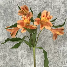 Альстромерия оранжевая от интернет-магазина «Цветочные истории»