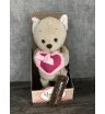 Романтичный Котик с розовым сердечком