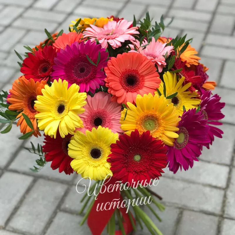 Облако Гербер