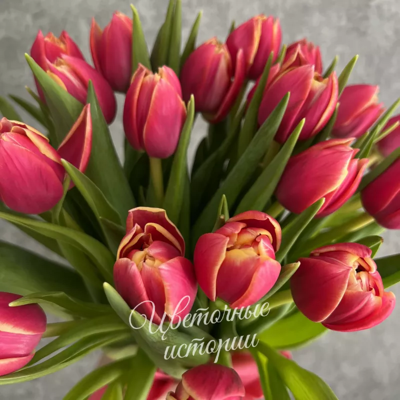 Букет &laquo;Роскошь Тюльпанов&raquo; 1