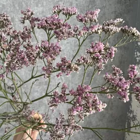 Лимониум от интернет-магазина «Цветочные истории»