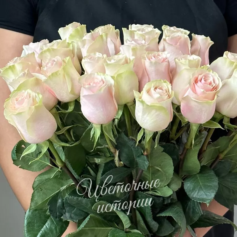 Букет розовых роз &laquo;Симпатия&raquo; 1