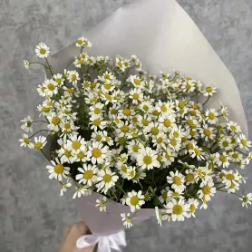 Букет &laquo;Ромашковый луг&raquo; от интернет-магазина «Цветочные истории»
