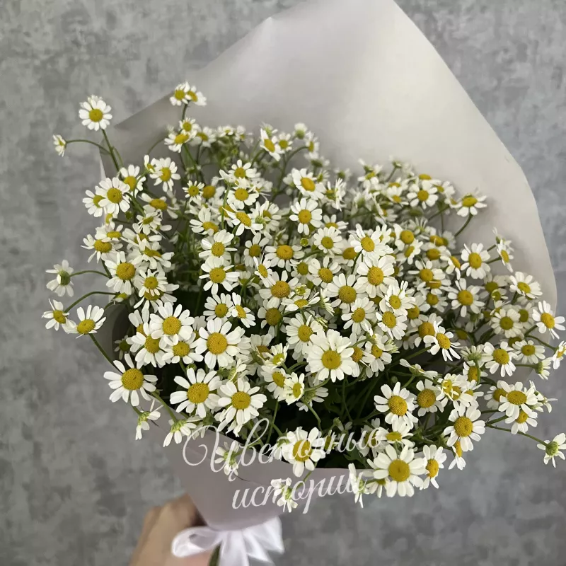 Букет &laquo;Ромашковый луг&raquo;