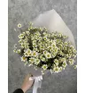 Букет &laquo;Ромашковый луг&raquo;