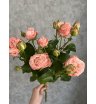 Кустовая роза «Мадам Бомбастик» 1