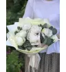 Букет из пионов &laquo;Ванильные облака&raquo;