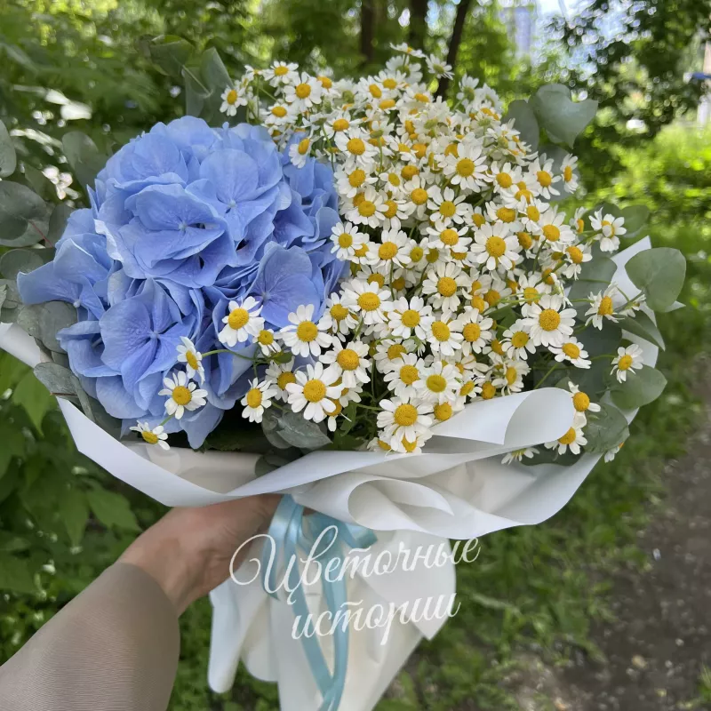 Ромашки и небо