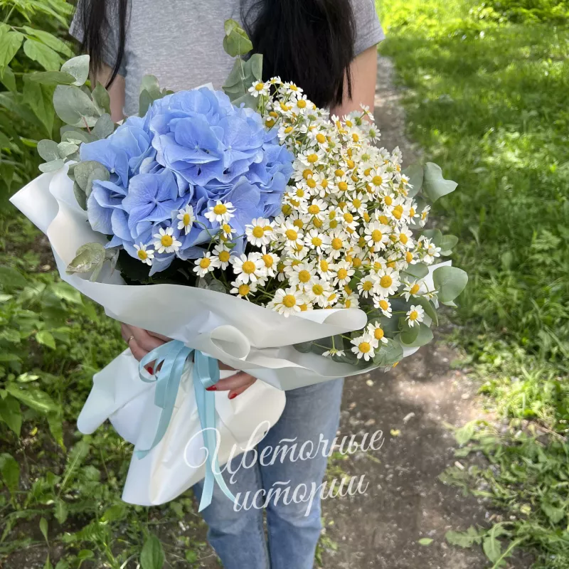 Ромашки и небо 1