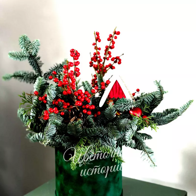 Под елью новогодней