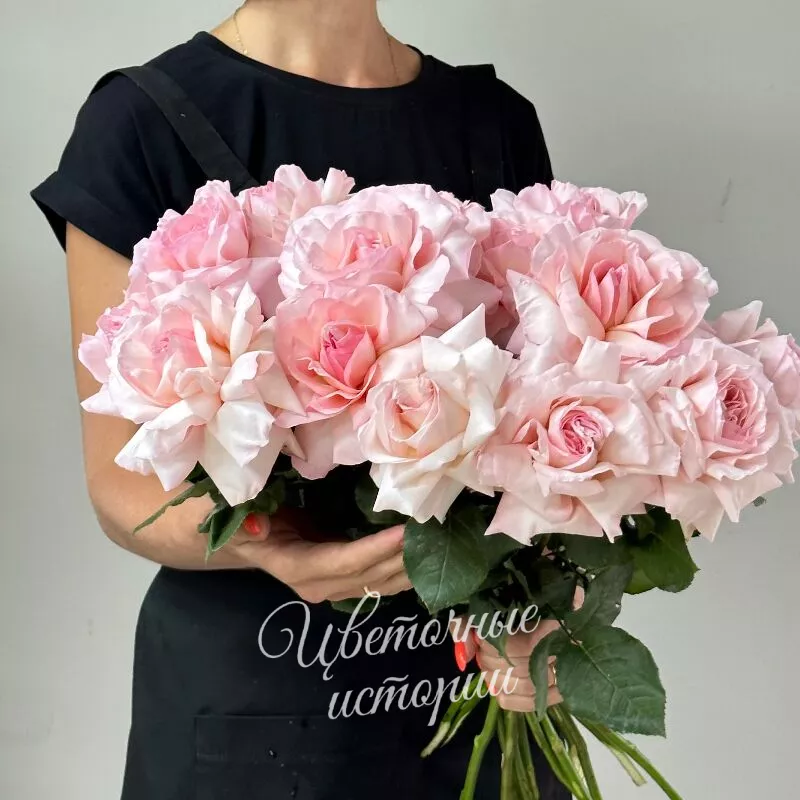 Букет роз &laquo;Французская роза (1 ШТ)&raquo;