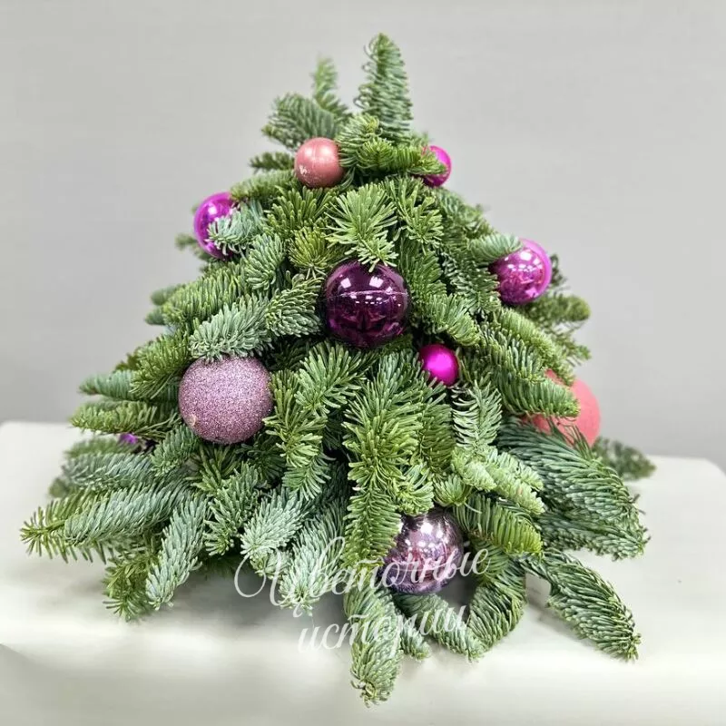 Пушистое сердце зимы 1