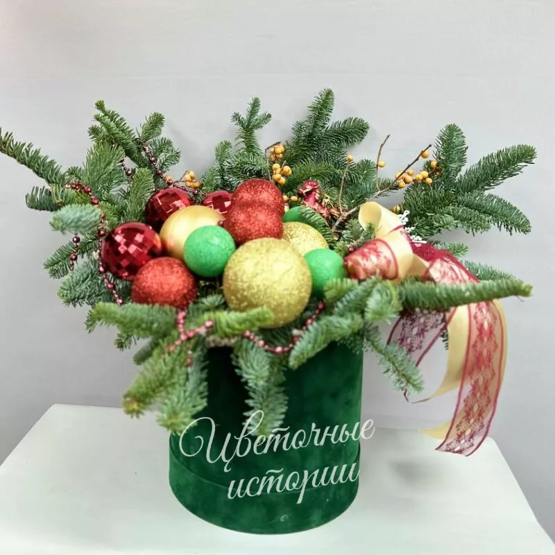 Путешествие к Деду Морозу 1